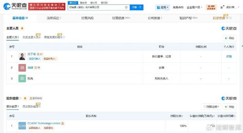 亿咖通湖北公司增资至5.5亿美元，信息系统集成服务迎来新发展